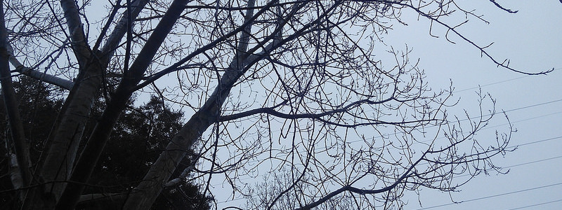 Hiver 2026 &lpar;trop&rpar; doux &quest; Et ce que &ccedil;a raconte de nous &quest;