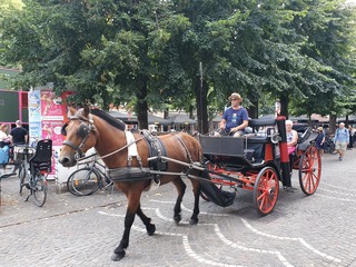 Une calèche à Bruges